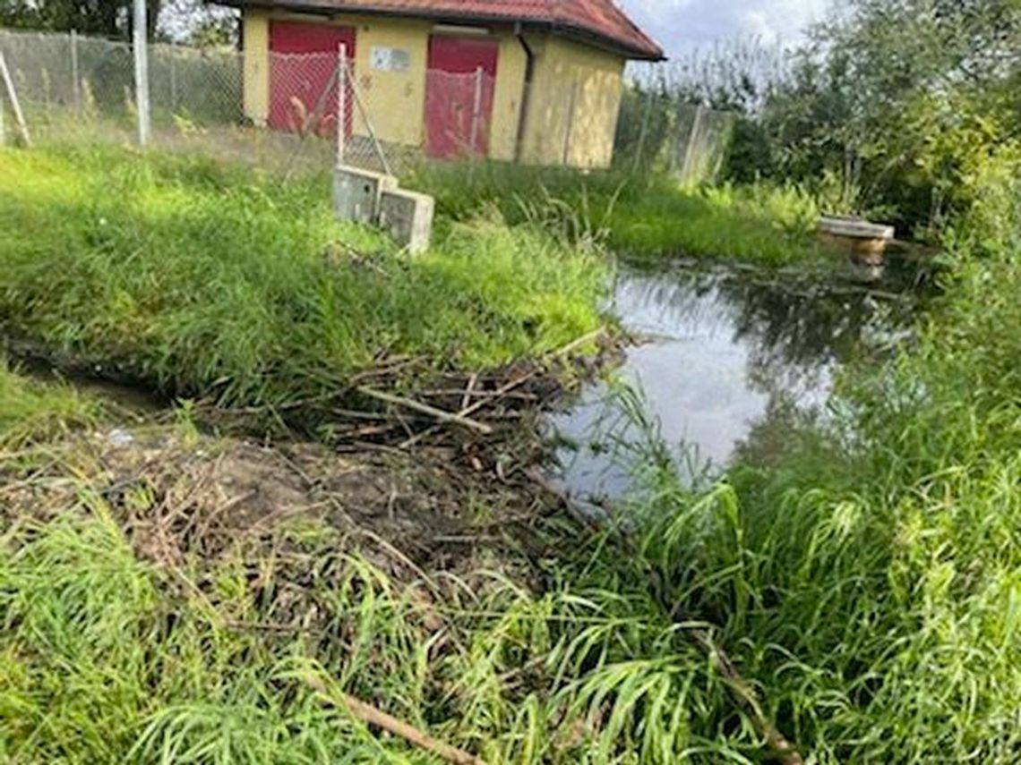 Do przepompowni powinien przyjechać sanepid! Do przepompowni powinien przyjechać sanepid!
