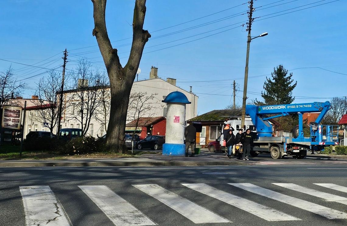 Do przycinki trzeba było użyć podnośnika