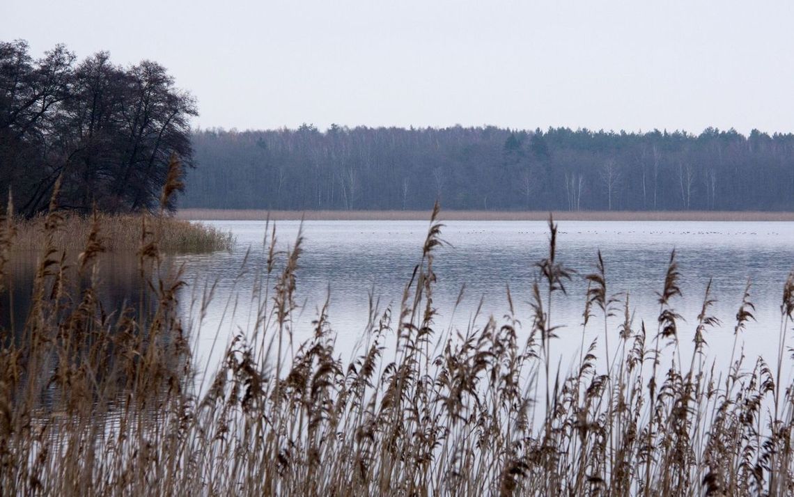 Dobre wieści dla wędkarzy Dobre wieści dla wędkarzy