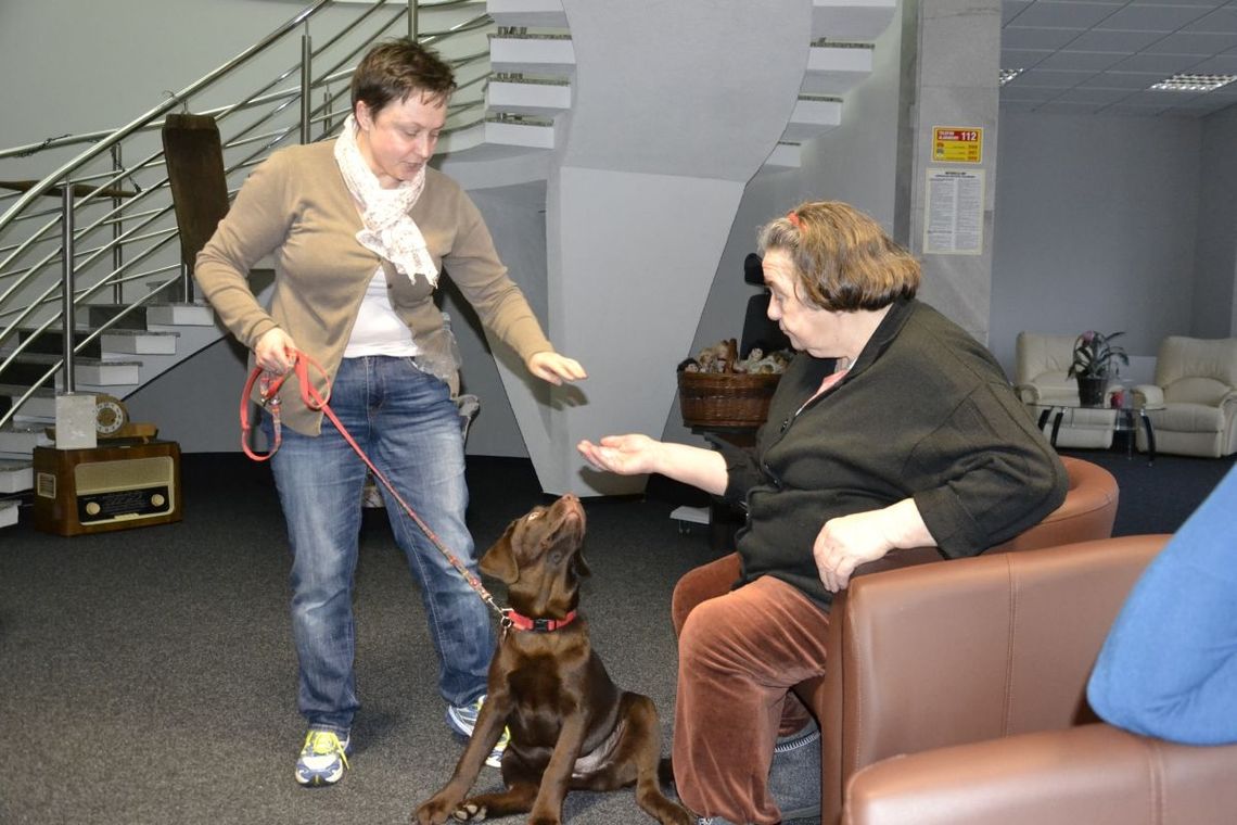 Dogoterapia w Senior Wigorze Dogoterapia w Senior Wigorze