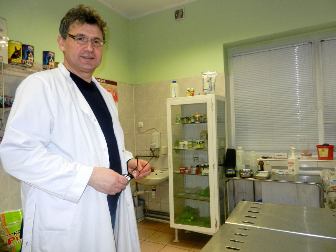 Dokąd po pomoc ze zwierzakiem w święta