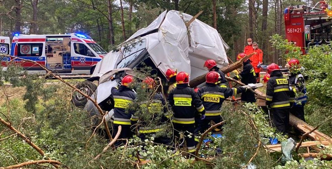Dostawczakiem owinął się wokół drzewa. Kryminalni prowadzą śledztwo