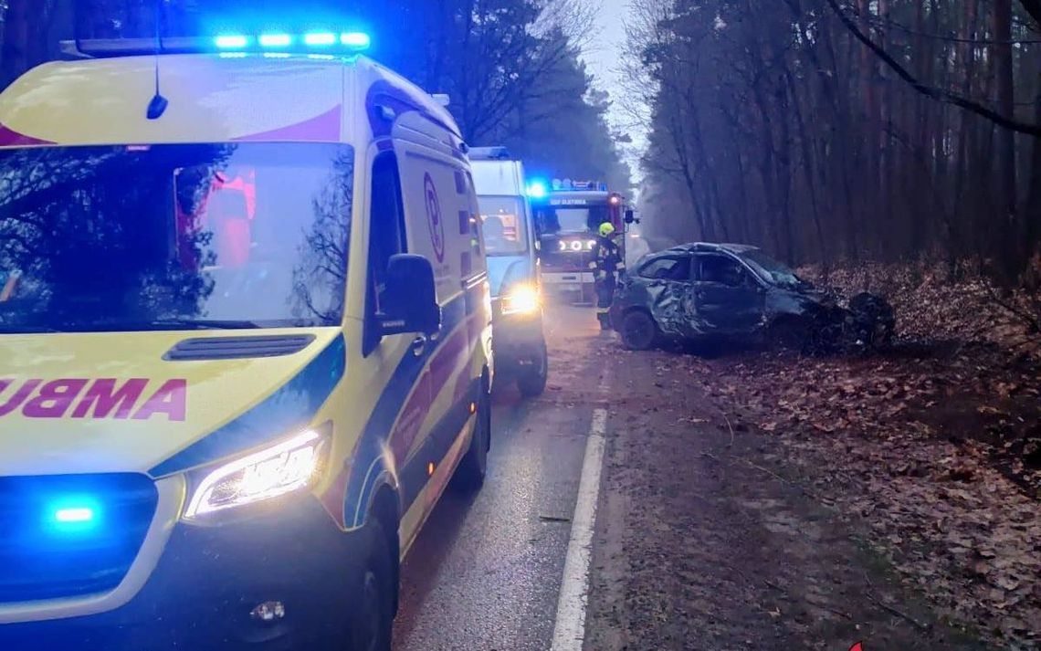 Dramat na drodze w powiecie gryfińskim. 28-letni uderzył w drzewo i trafił do szpitala w Gryfinie