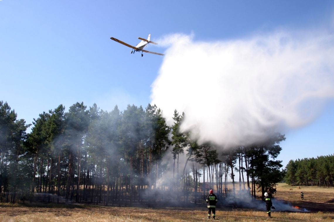 Dromadery gasiły las Dromadery gasiły las