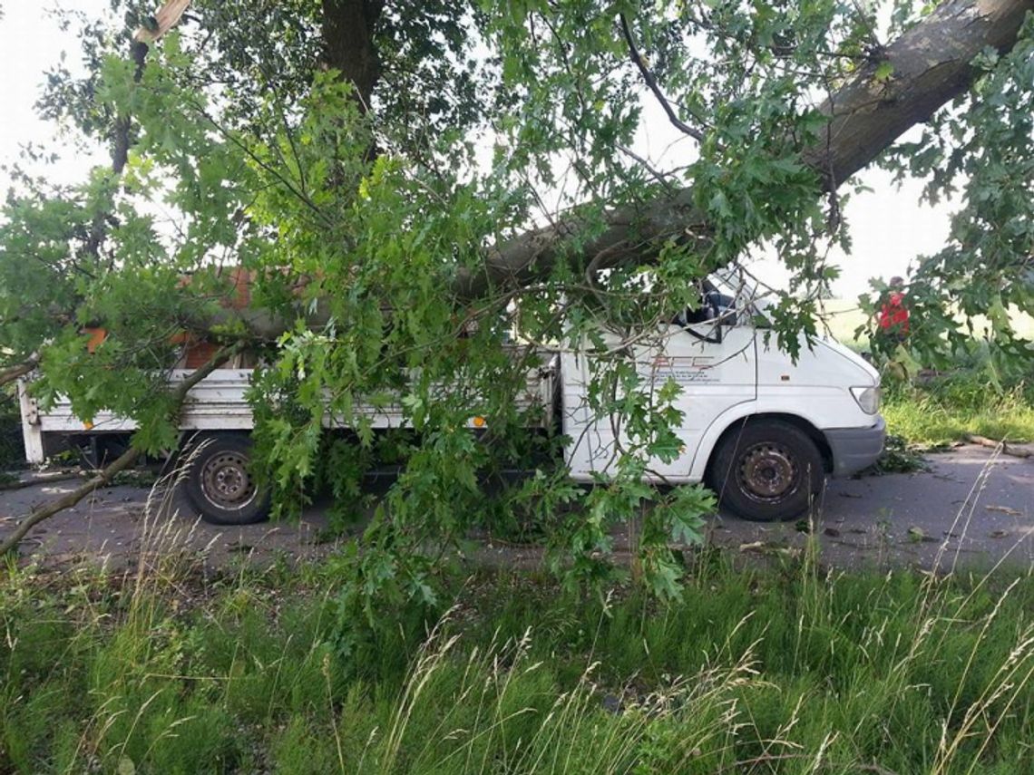 Drzewo podczas burzy wbiło się w jadący samochód