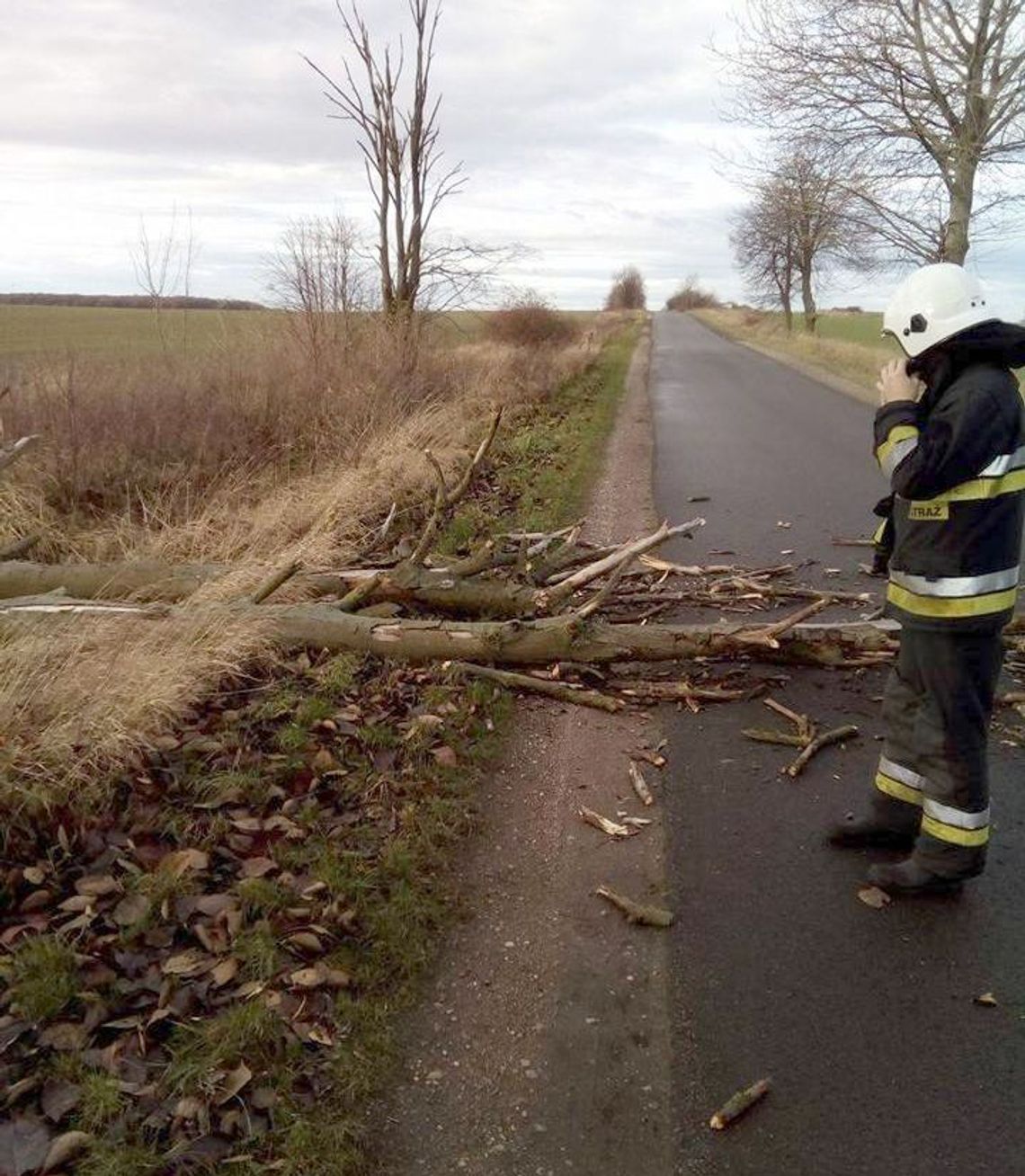 Drzewo runęło na drogę. Interweniowali strażacy