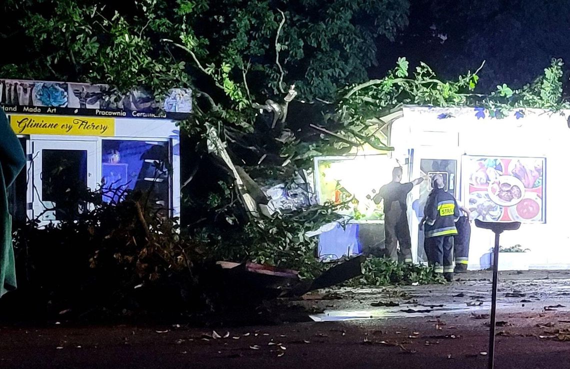 Bar zniszczony przez odłamany wielki konar. Drzewo spadło na dom