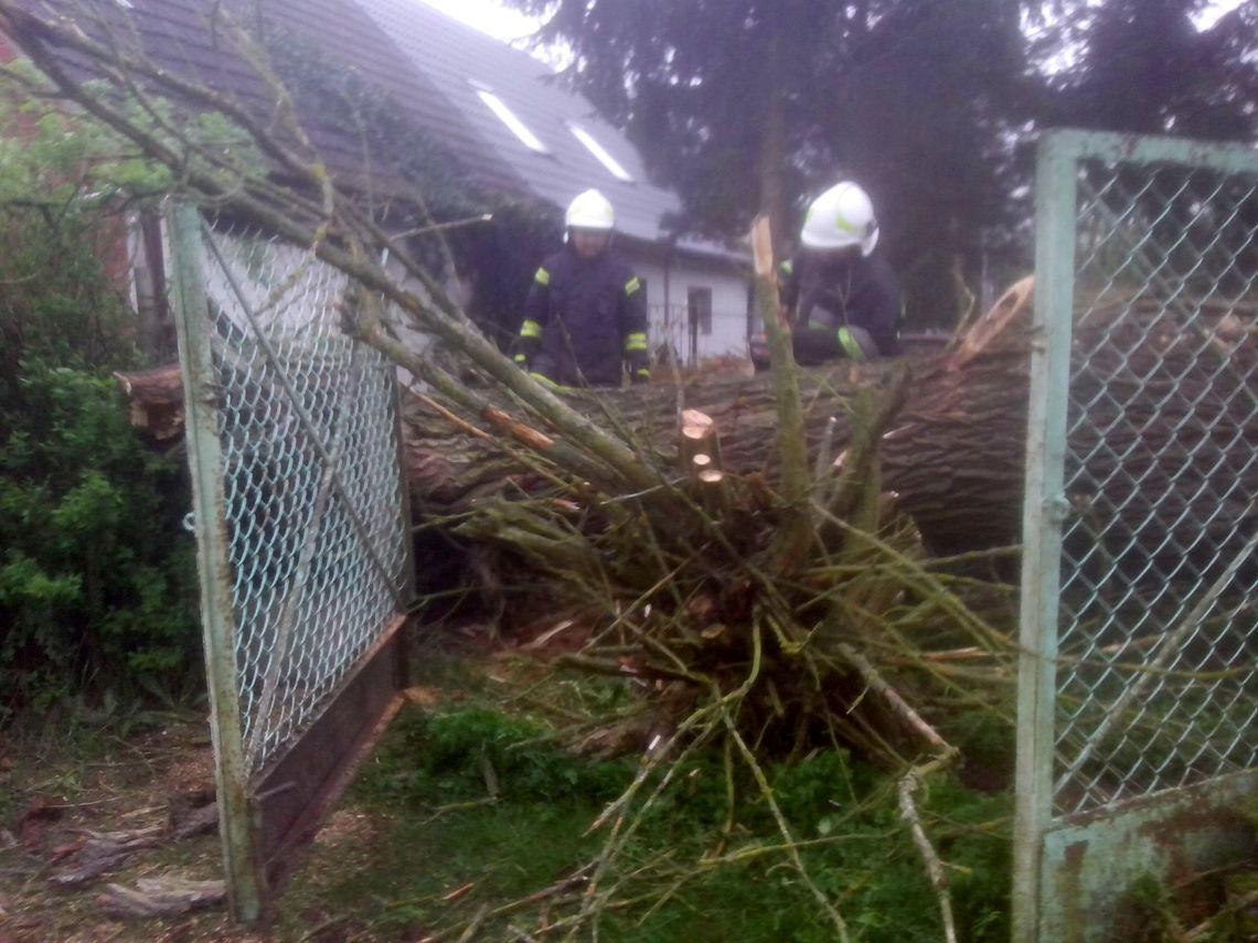  Drzewo spadło na dom. Interweniowali strażacy [FOTO]
