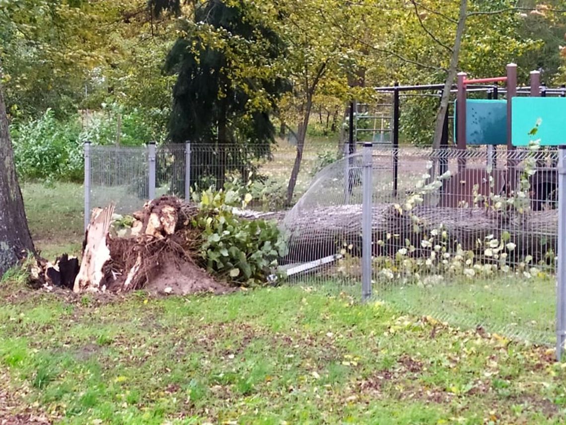 Drzewo spadło na plac zabaw