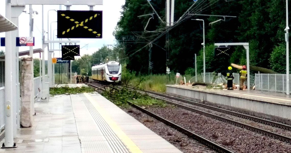 Drzewo spadło na pociąg osobowy w Czepinie. Służby w akcji