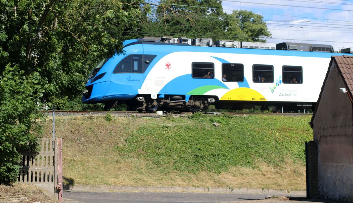 Drzewo zerwało sieć trakcyjną. Wiemy, kiedy wznowią ruch pociągów Drzewo zerwało sieć trakcyjną. Wiemy, kiedy wznowią ruch pociągów