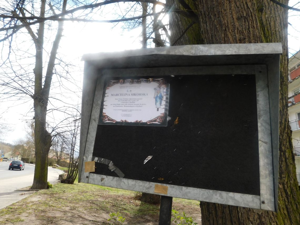 Dwa pogrzeby zaplanowano na początku bieżącego tygodnia Dwa pogrzeby zaplanowano na początku bieżącego tygodnia