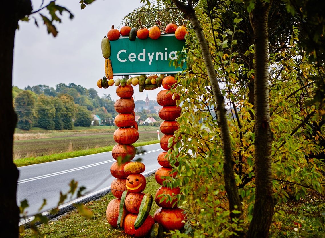 Dyniowo-kabaczkowe powitanie Dyniowo-kabaczkowe powitanie