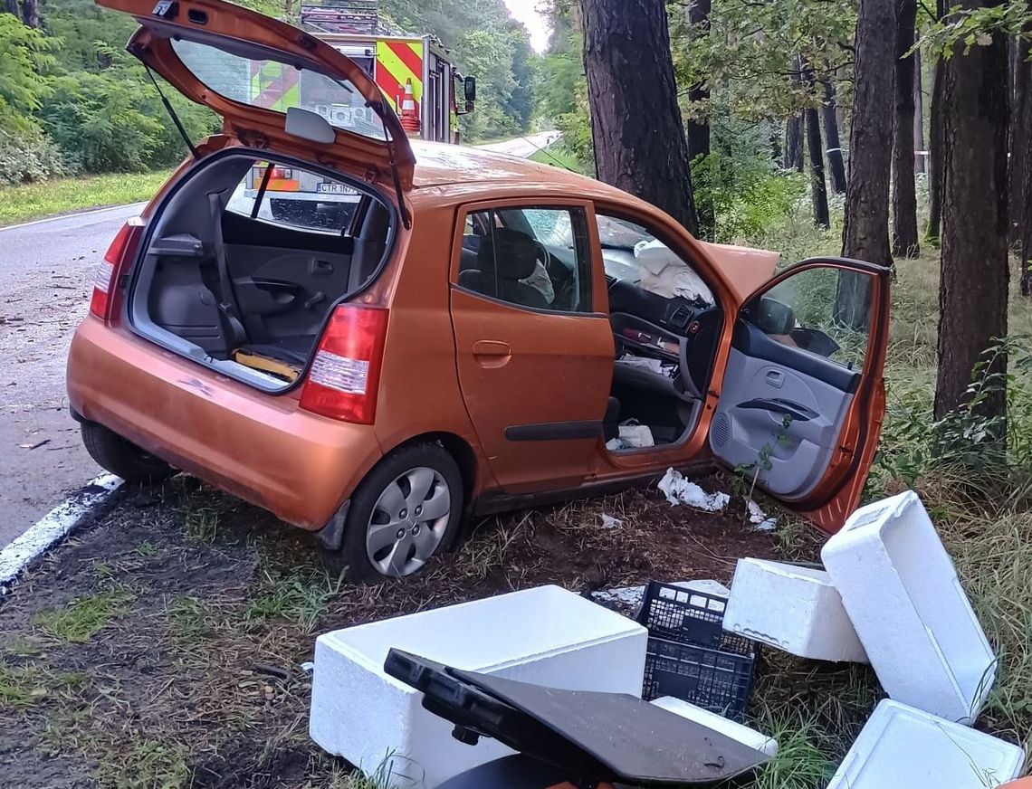 Działania strażaków na drodze i na prywatnych  posesjach