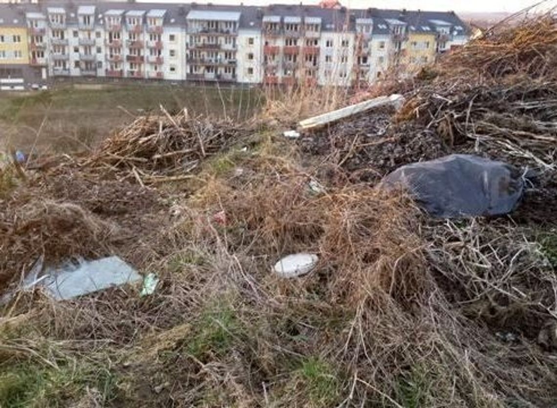 Działkowicze zaśmiecają ogródki działkowe Działkowicze zaśmiecają ogródki działkowe