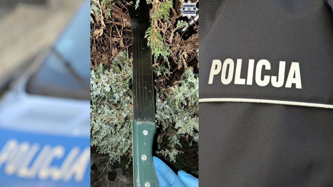 Nieletni zmuszali, bili i stosowali groźby karalne. Nastolatkowie użyli maczety i nagrywali swoje ofiary