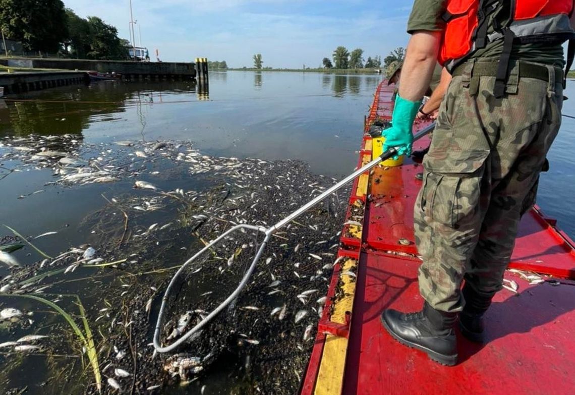 Dziś Światowy Dzień Ziemi, czyli też rzeki. Proste sposoby na ratowanie środowiska