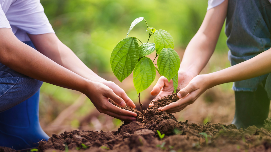 Mamy astronomiczną wiosnę. Jak zapowiada się pogoda?