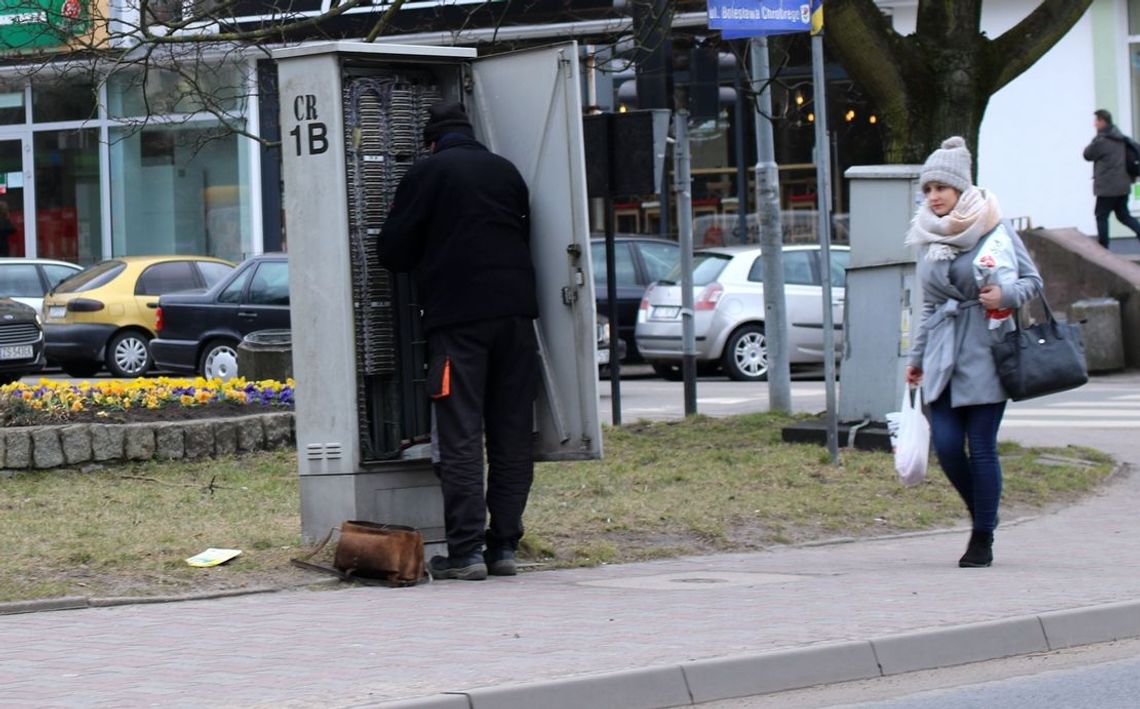 Dziwne kolory bratków się gryzą? Dziwne kolory bratków się gryzą?