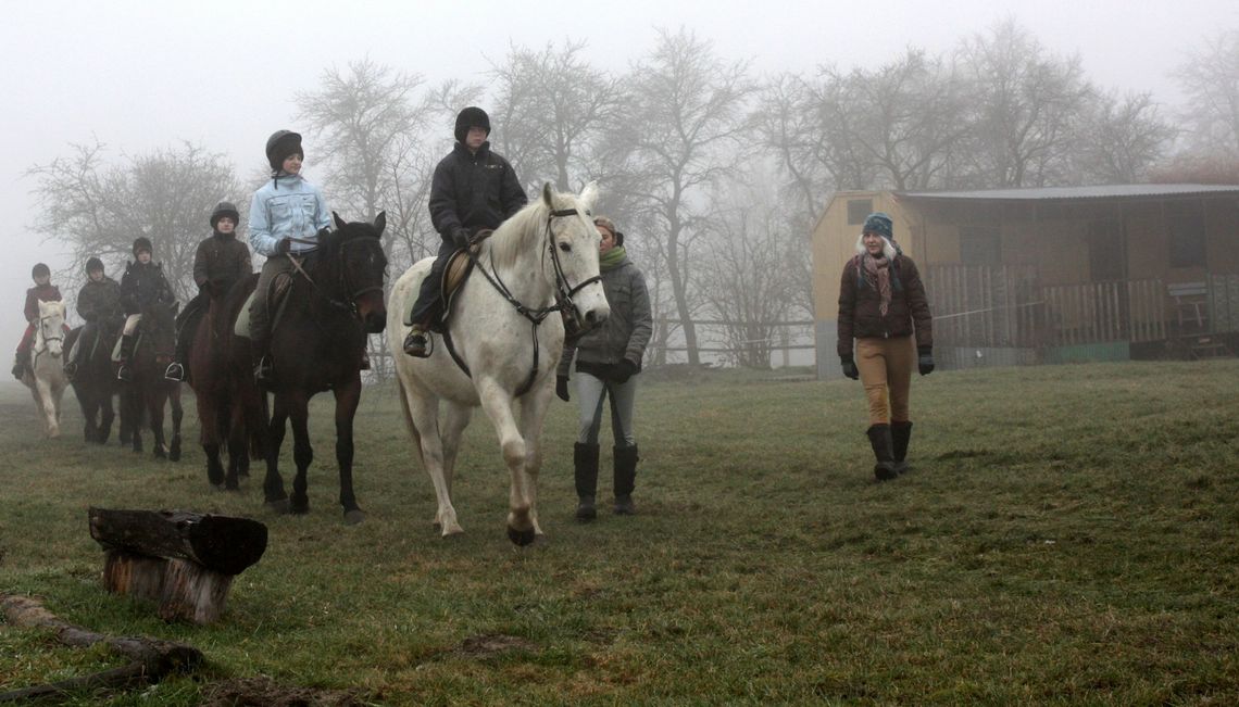 Ferie z końmi - propozycja stowarzyszenia