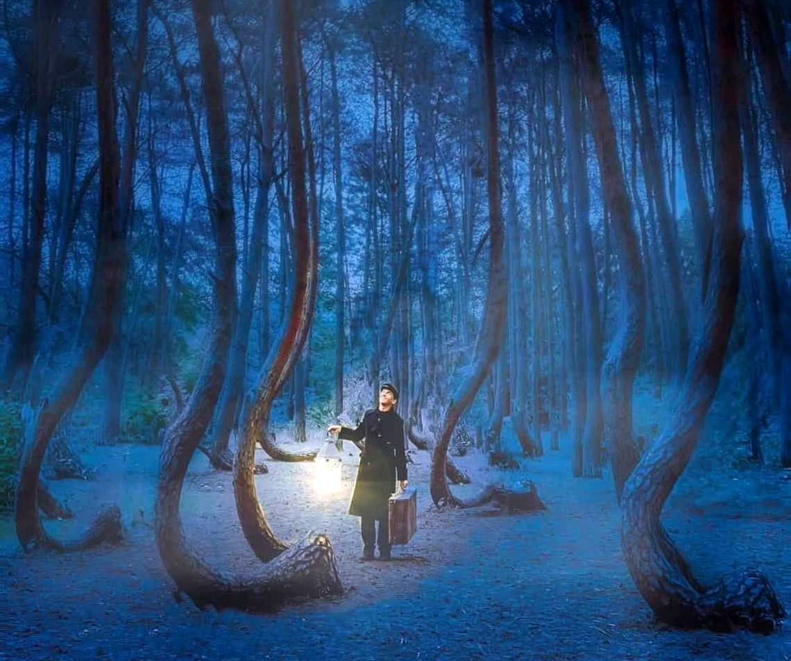 Fotografia „Baśniowy Krzywy Las” Łukasza Bartosia zwyciężyła w konkursie