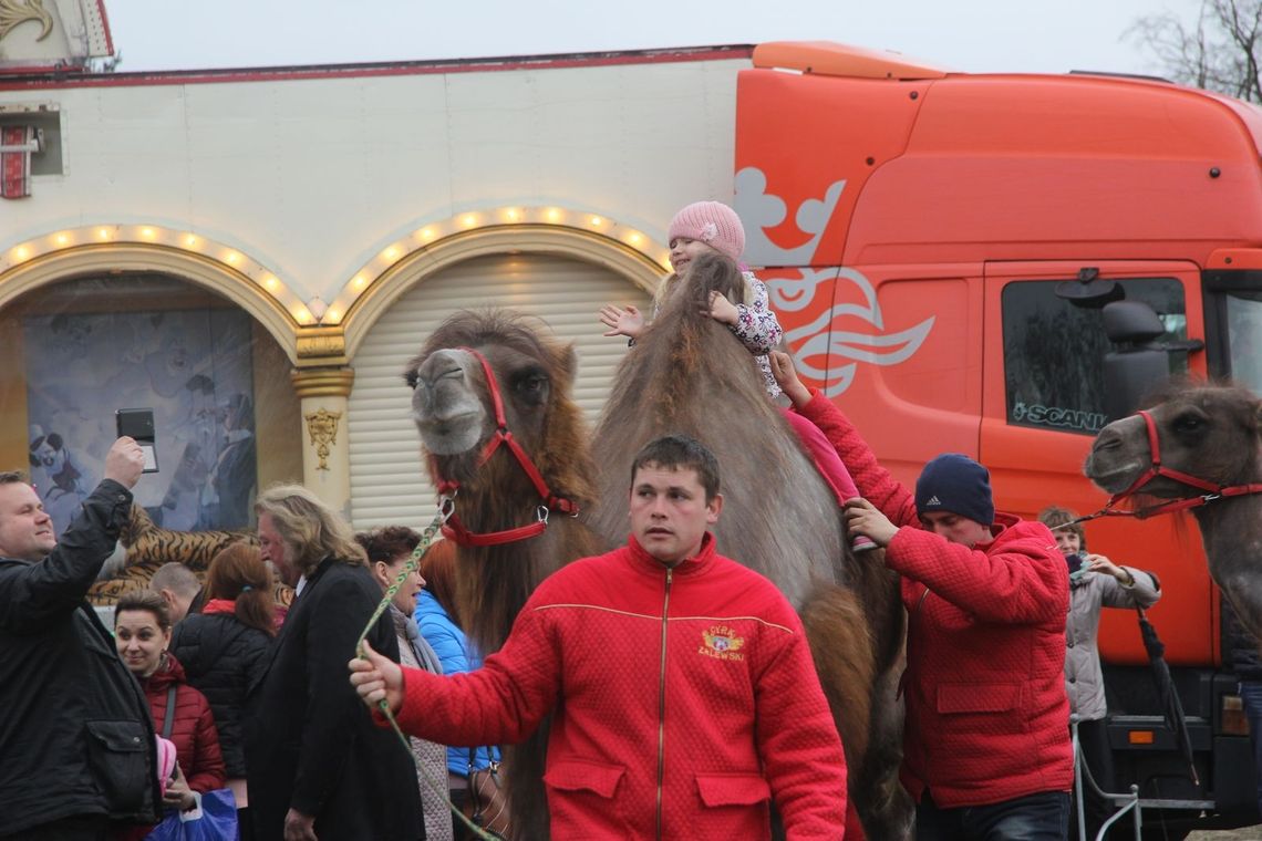 Fotorelacja z cyrku Fotorelacja z cyrku