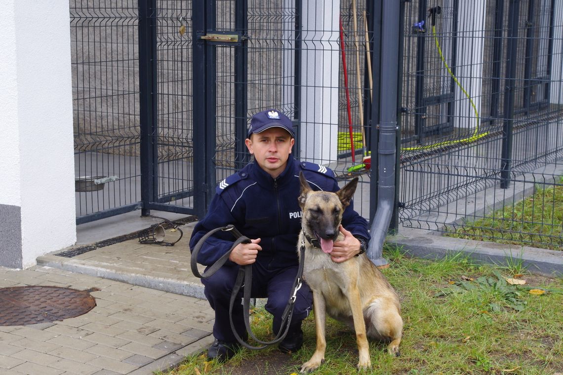 Gaja będzie patrolować, interweniować i tropić Gaja będzie patrolować, interweniować i tropić