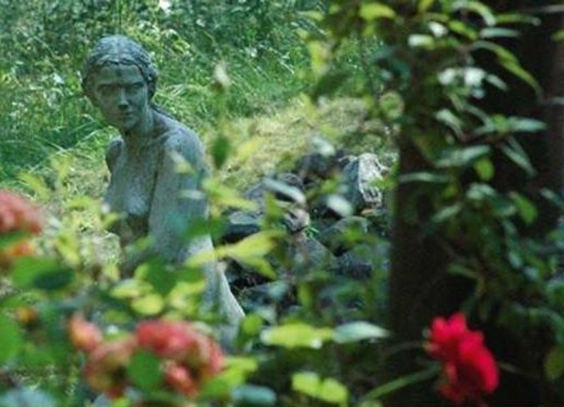 Gaja zbiera chętnych na obóz wolontariacki Gaja zbiera chętnych na obóz wolontariacki