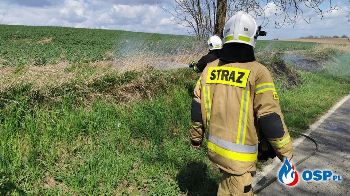 Gasili palącą się trawę