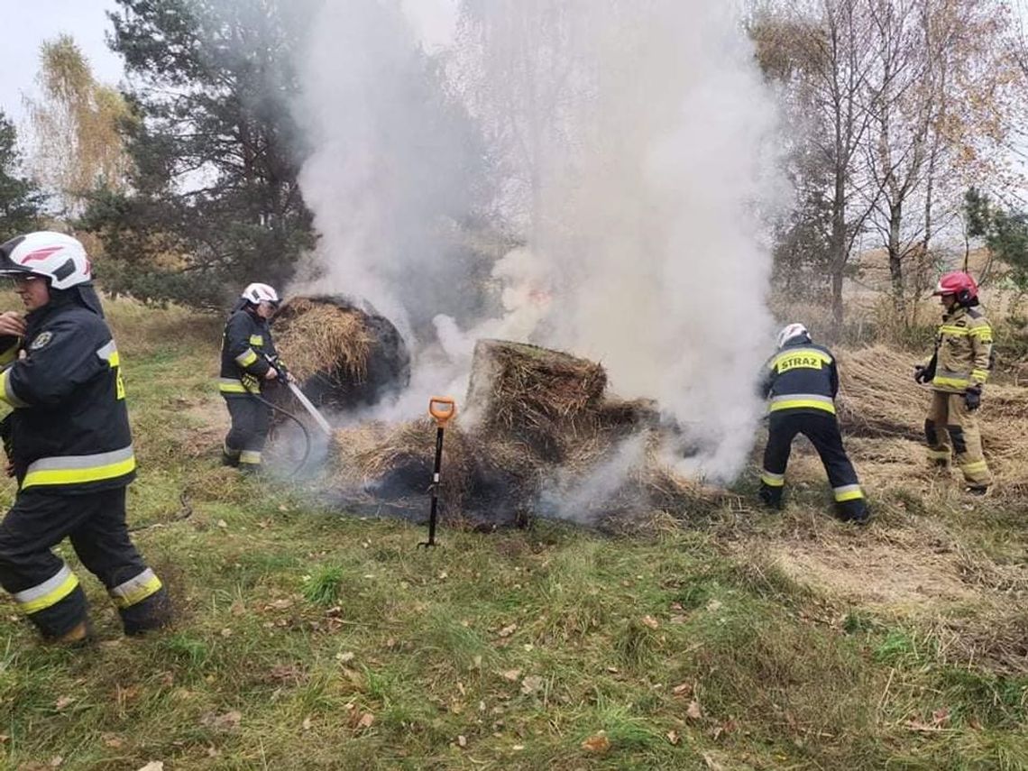 Gasili pożar balotów siana [ZDJĘCIA]