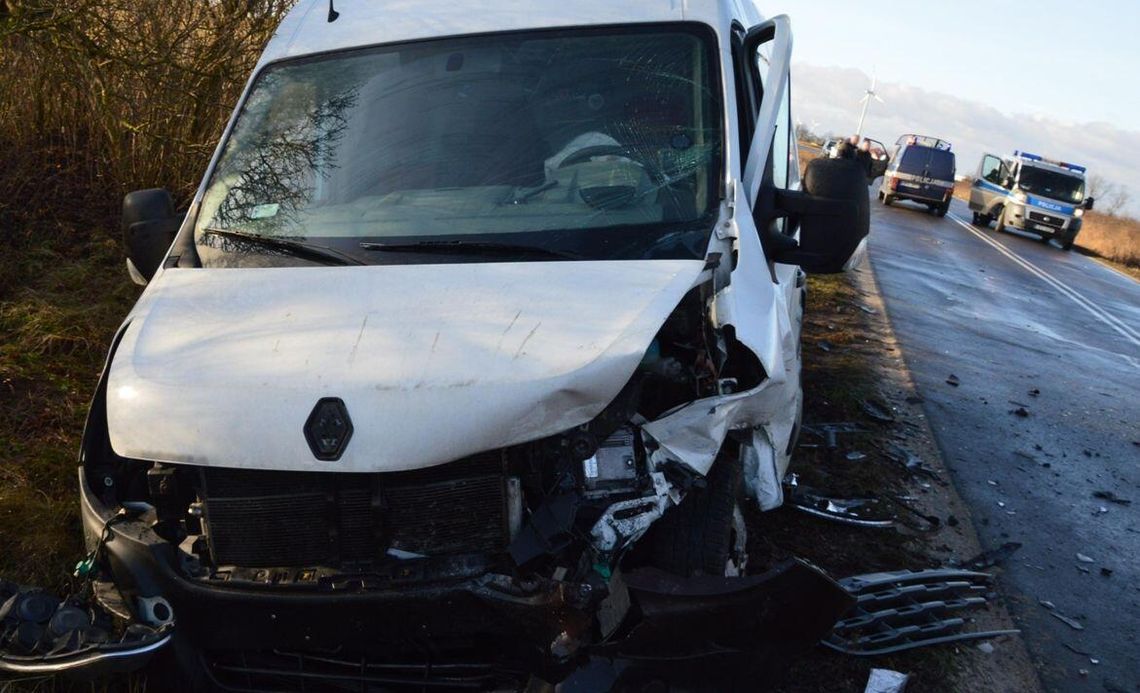 Gdy wybiegło zwierzę, nie miał szans na bezpieczne wyhamowanie Gdy wybiegło zwierzę, nie miał szans na bezpieczne wyhamowanie