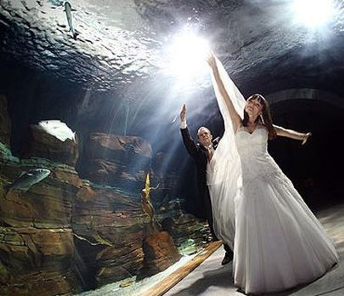 Gdzie bierzemy ślub? Burmistrz łączy pary Gdzie bierzemy ślub? Burmistrz łączy pary