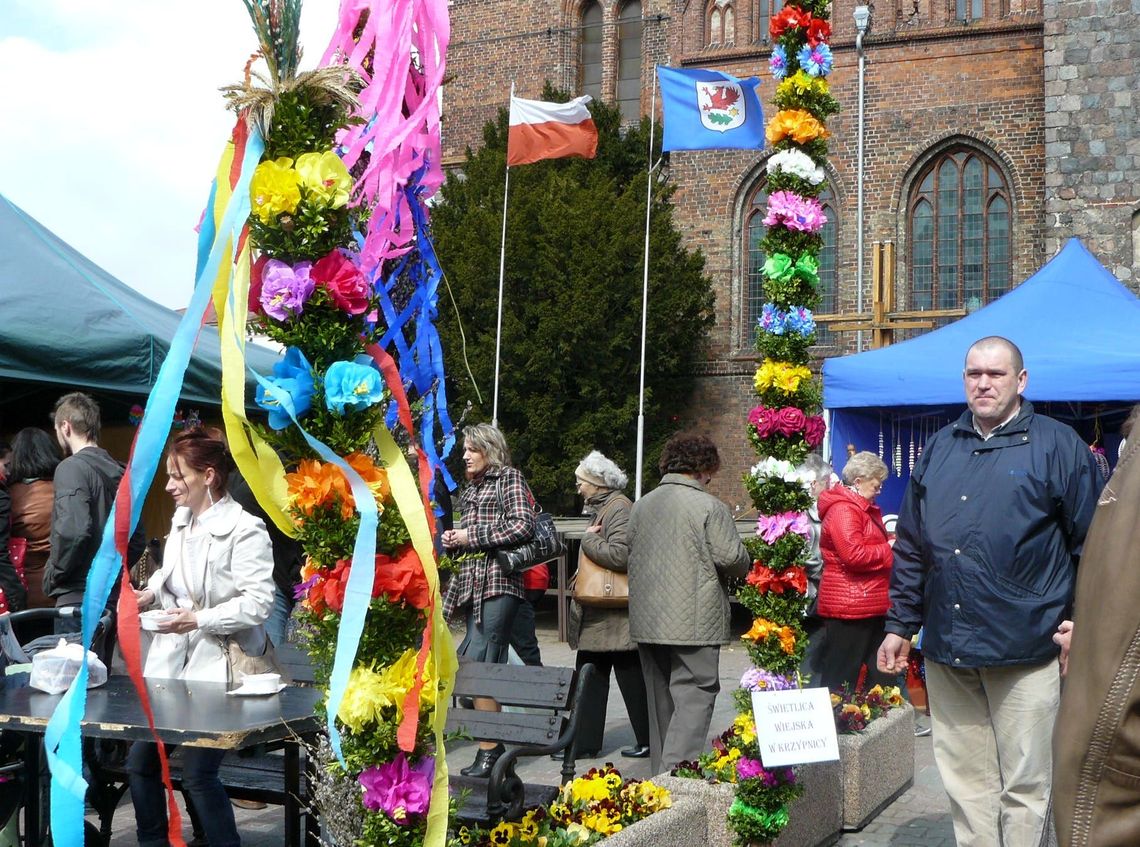 Gdzie były najdłuższe palmy Gdzie były najdłuższe palmy