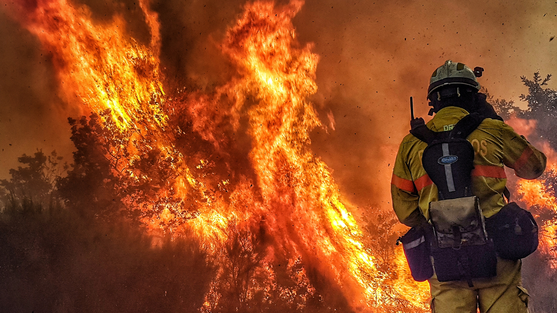 Gigantyczne kary za wypalanie traw. Straż przestanie często jeździć do wzniecanych pożarów