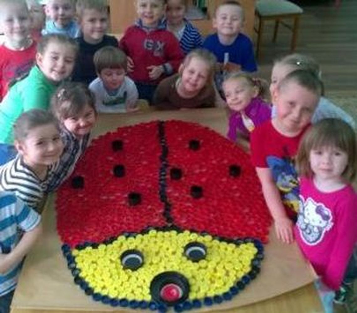 Głosujmy na Biedroneczki Głosujmy na Biedroneczki