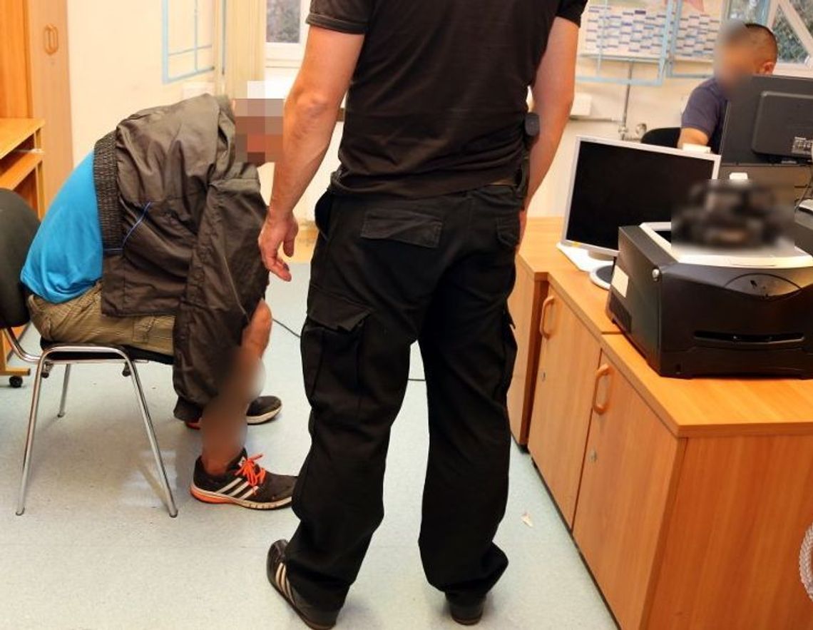 Głupich nie sieją… Głupich nie sieją…