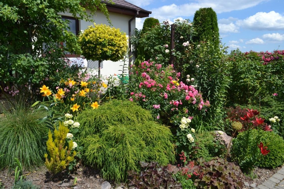 Gmina rozkwitła po raz trzeci Gmina rozkwitła po raz trzeci
