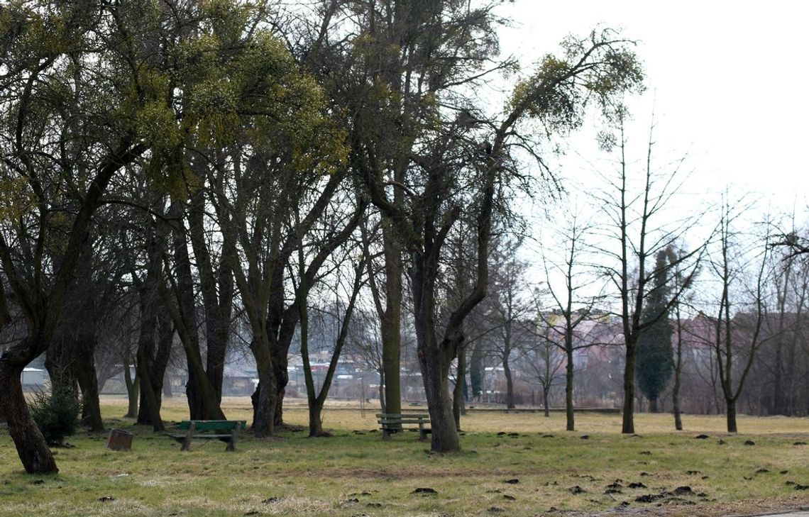 Gmina sprzedała park za 707 tys. zł