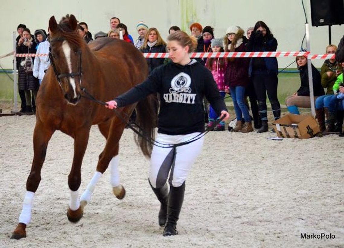 Gorącokrwiste i zimnokrwiste konie w obiektywie Leszka Łozowieckiego Gorącokrwiste i zimnokrwiste konie w obiektywie Leszka Łozowieckiego