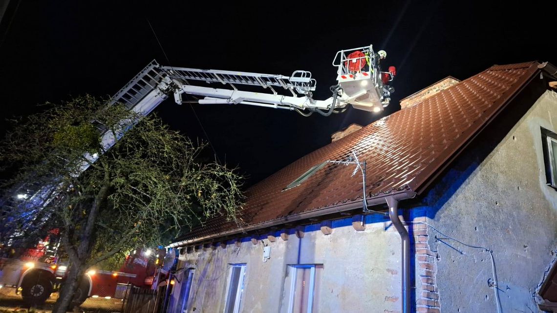 Gorący tydzień strażaków z powiatu gryfińskiego: Od pożarów sadzy po ratowanie łabędzi