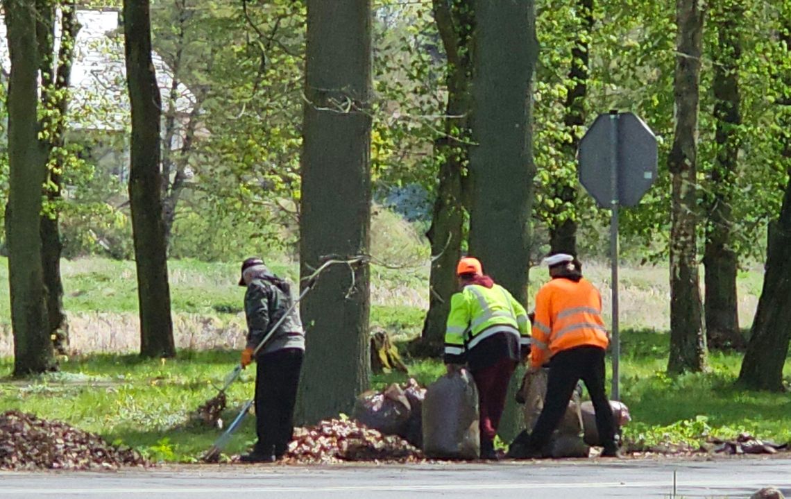 Grabie w dłoń czy „stop”? Ekologiczny dylemat nad Kurzycą