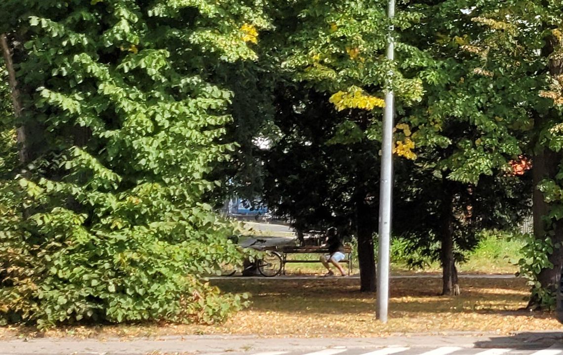 Grasował z wiatrówką po parku. Strzelił spacerującemu w twarz