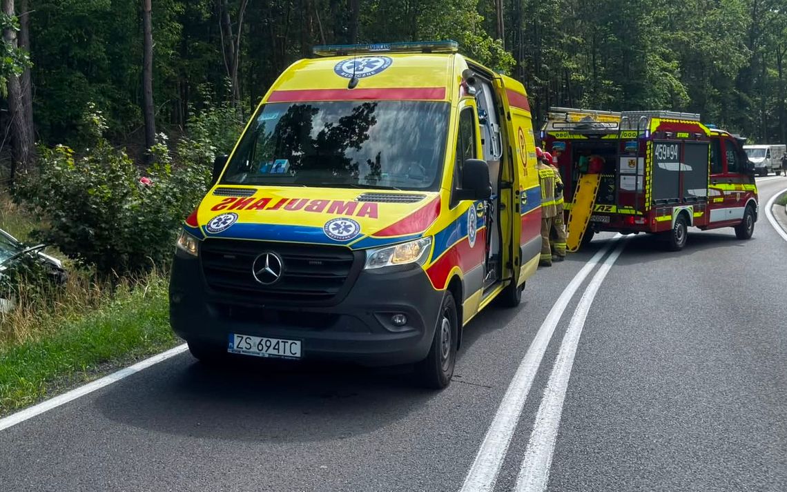 Groźny wypadek na DK31. Matka z dzieckiem trafiły do szpitala na badania Groźny wypadek na DK31. Matka z dzieckiem trafiły do szpitala na badania