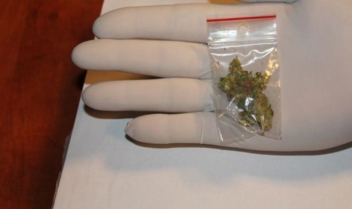 Gryfinianin miał przy sobie narkotyki Gryfinianin miał przy sobie narkotyki