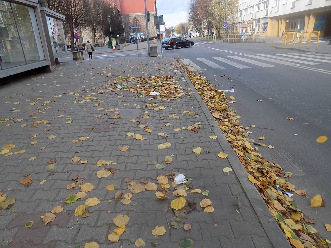 Gryfino czystością nie grzeszy Gryfino czystością nie grzeszy