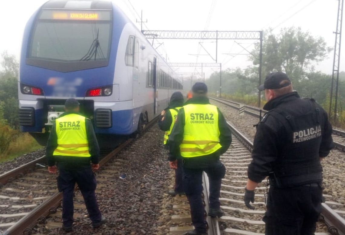 Gryfino: O krok od tragedii na torach PKP. Mężczyzna z urazem twarzy trafił pod opiekę służb Gryfino: O krok od tragedii na torach PKP. Mężczyzna z urazem twarzy trafił pod opiekę służb