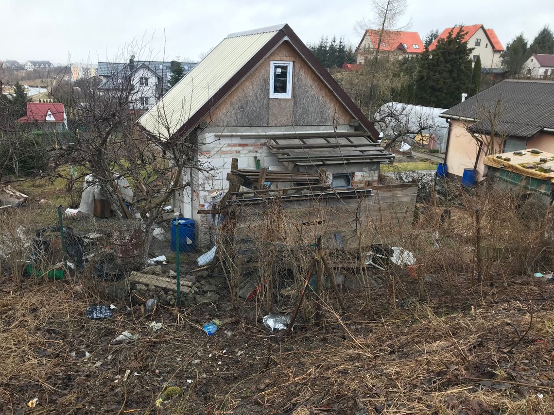 Gryfino wita ogródkami działkowymi Gryfino wita ogródkami działkowymi