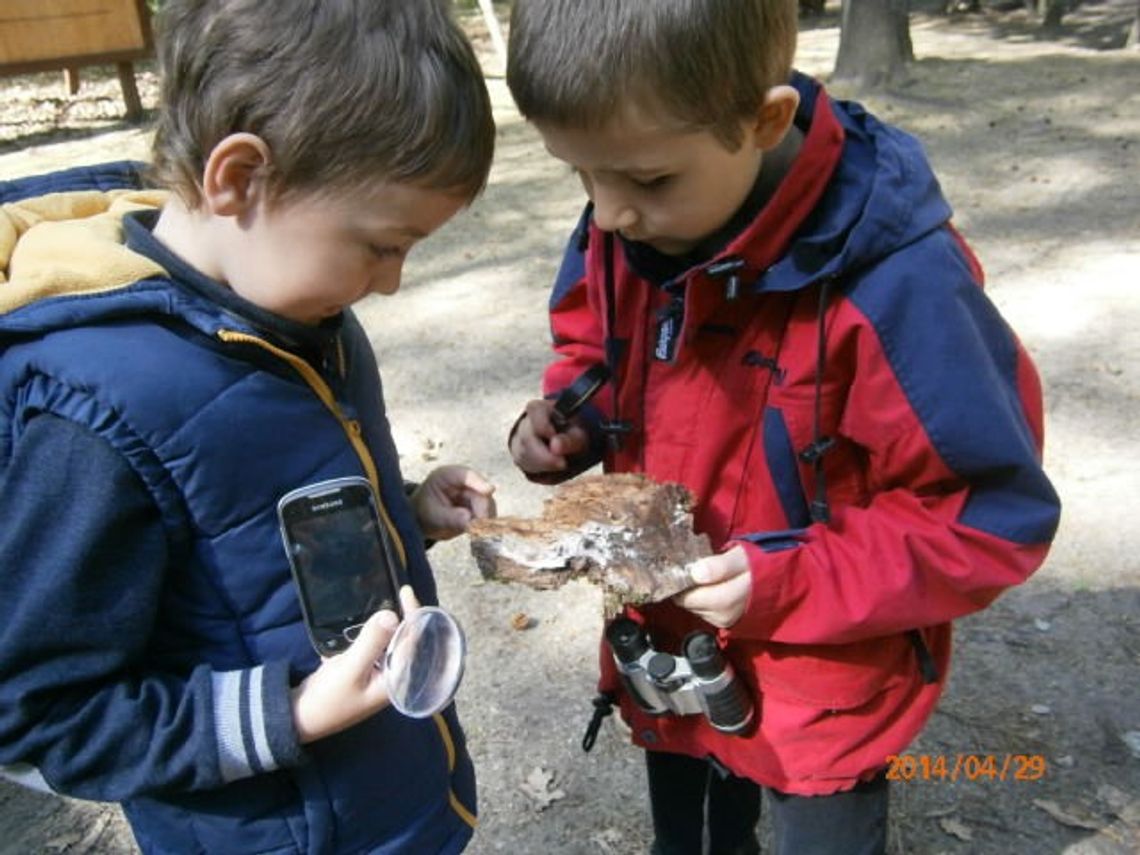 Gryfińska Jedynka w czołówce! Gryfińska Jedynka w czołówce!