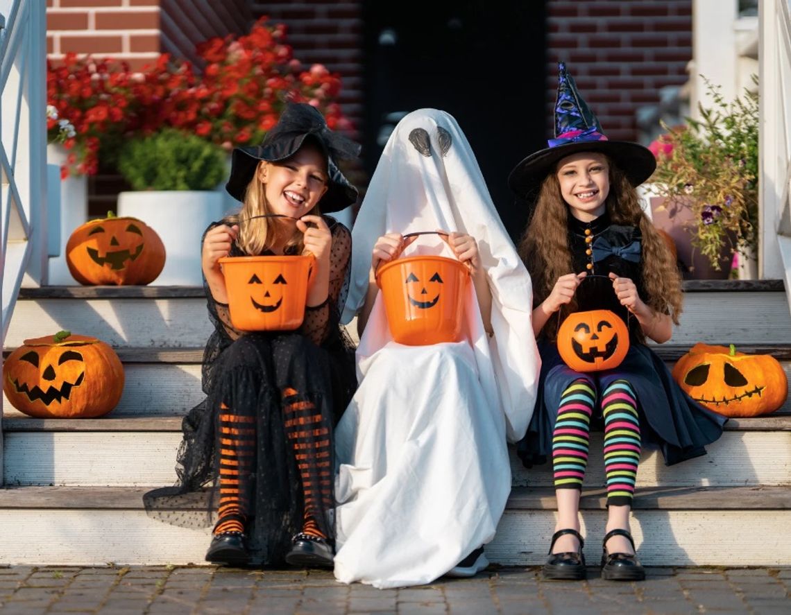 Halloween 2026 już dziś. Ilu Polaków obchodzi Halloween? Halloween 2026 już dziś. Ilu Polaków obchodzi Halloween?