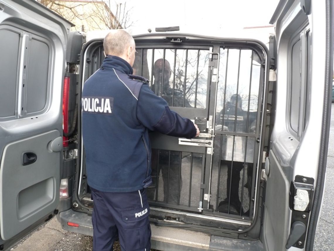 Handlował na targowisku. Aresztowali go za gromadzenie broni Handlował na targowisku. Aresztowali go za gromadzenie broni